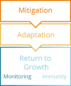 Phases of the economic downturn due to COVID-19